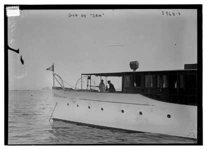 Gun on GEM LCCN2014702665