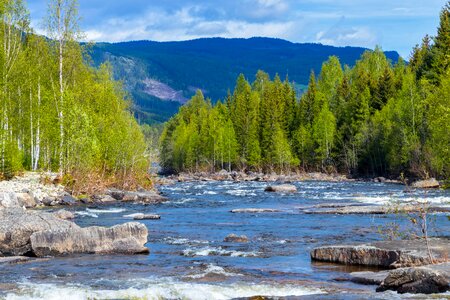 Landscape bridge panorama