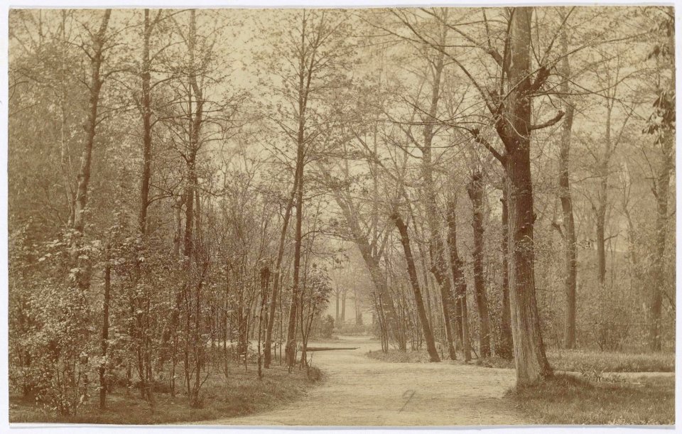 Gustaaf Oosterhuis, Afb OSIM00001004063