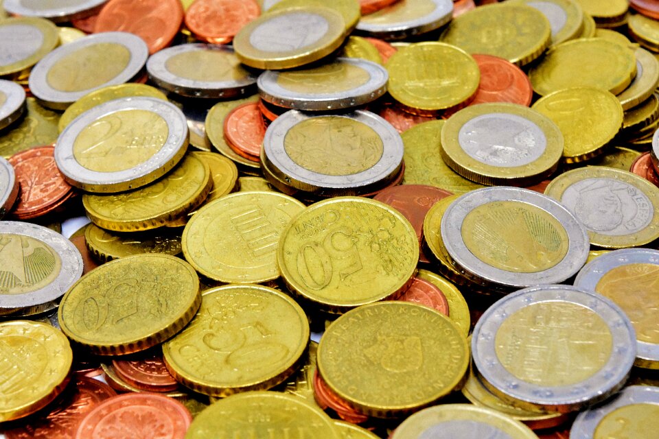 Euro specie loose change