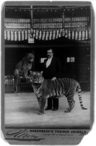 Hagenbeck's trained animals LCCN2005694942