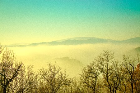Morning light mist photo