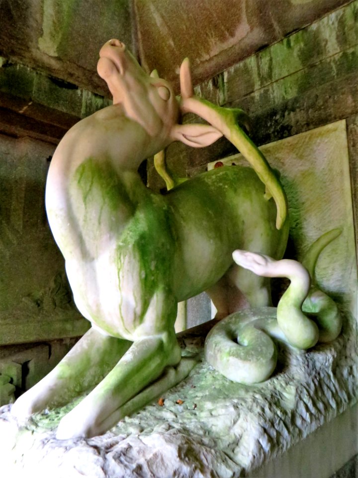 Hagen - Hohenhof 20