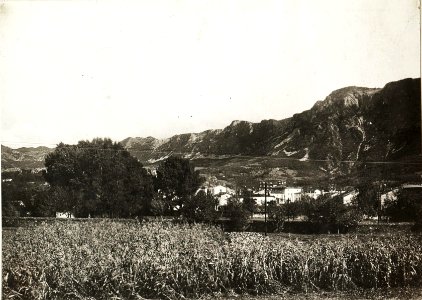 Haidenschaft vom Bahnhof gesehen (BildID 15595314)