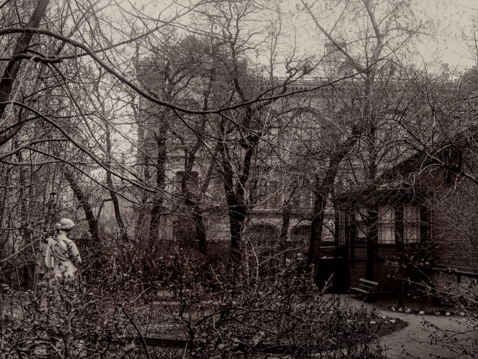 Hakasalmenkatu 4 (nykyinen Keskuskatu 4), näkymä Tollanderin talon pihalta - G30695 (hkm.HKMS000005-km0000phhg)
