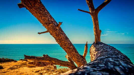 Travel seashore sky