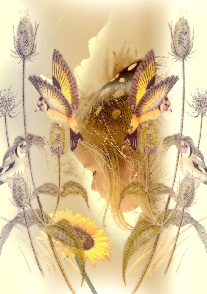 Flower decoration pastel