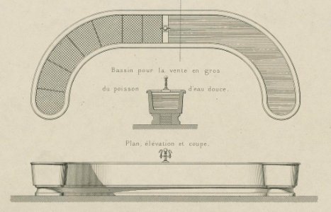 Halles centrales de Paris - aménagements du rez-du-chaussée. Bassin pour la vente en gros du poisson d'eau douce. - V. Baltard, archte ; Bertrand, gravr. LCCN2006686195