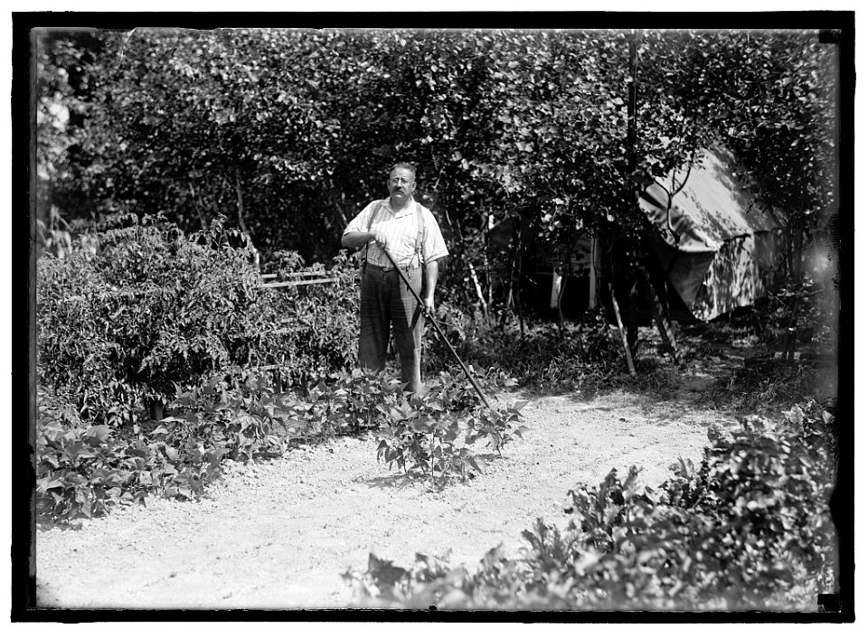 HALLOWAY, E.T. WORKING IN GARDEN LCCN2016870387