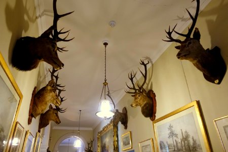 Hallway - Shugborough Hall - Staffordshire, England - DSC00118 photo