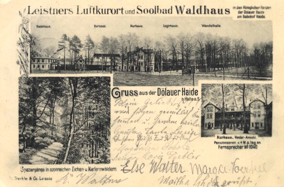 Halle (Saale), Sachsen-Anhalt - Dölauer Heide (Zeno Ansichtskarten)
