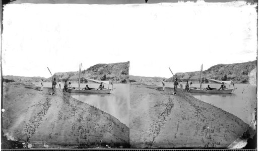 HALT BELOW MOUTH OF PAINTED CANYON, THE BOAT IN PICTURE, COLORADO RIVER - NARA - 523882