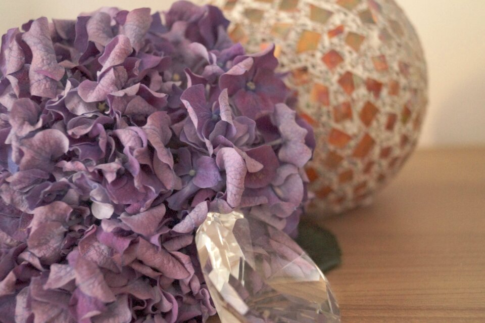 Blossom bloom diamond