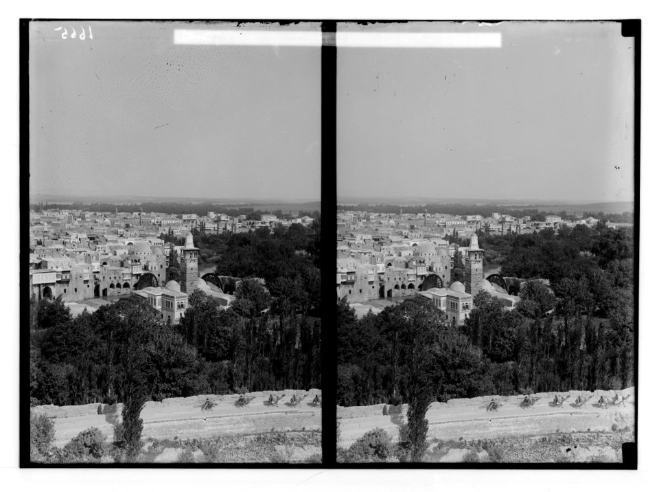 Hama (Hamath). View of Hama from castle hill LOC matpc.02149