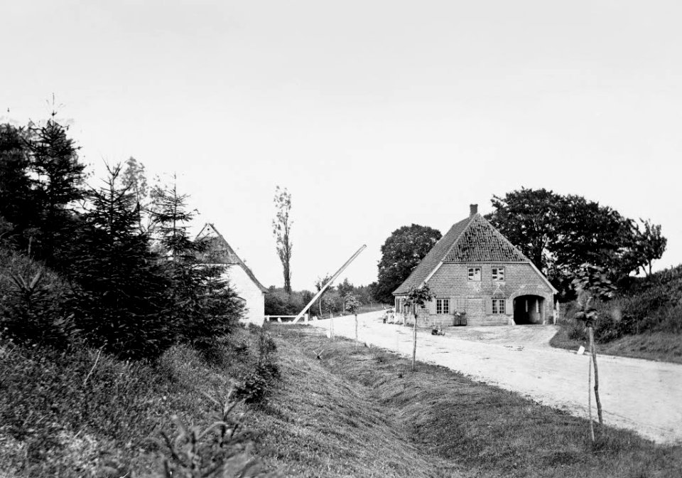 Hamburger Baum an der Hamburger Chaussee, Höhe Abzweigung nach Meimersdorf (Kiel 44.673)