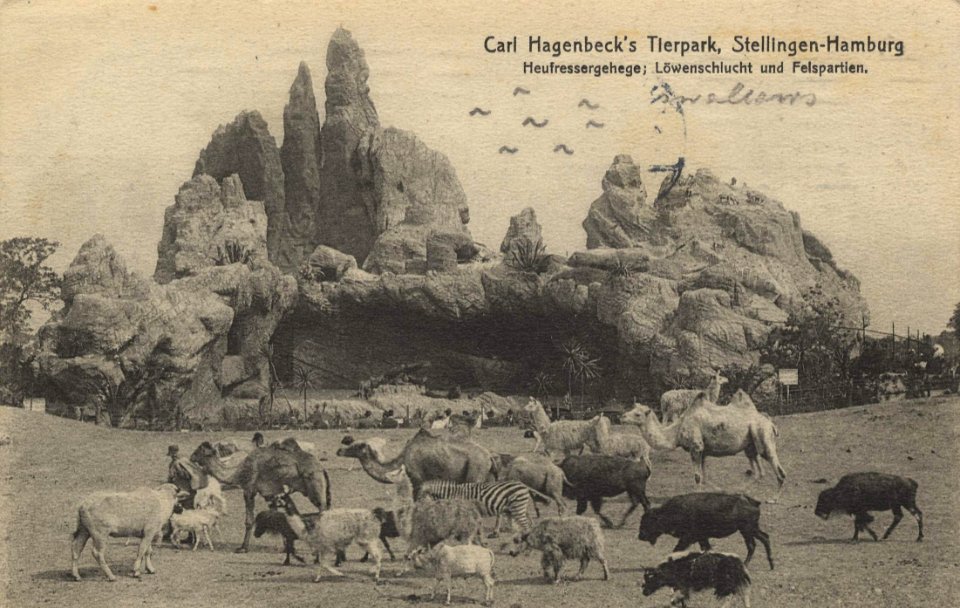 Hamburg, Hamburg - Zoologischer Garten; Carl Hagenbecks Tierpark; Heufressergehege (Zeno Ansichtskarten)