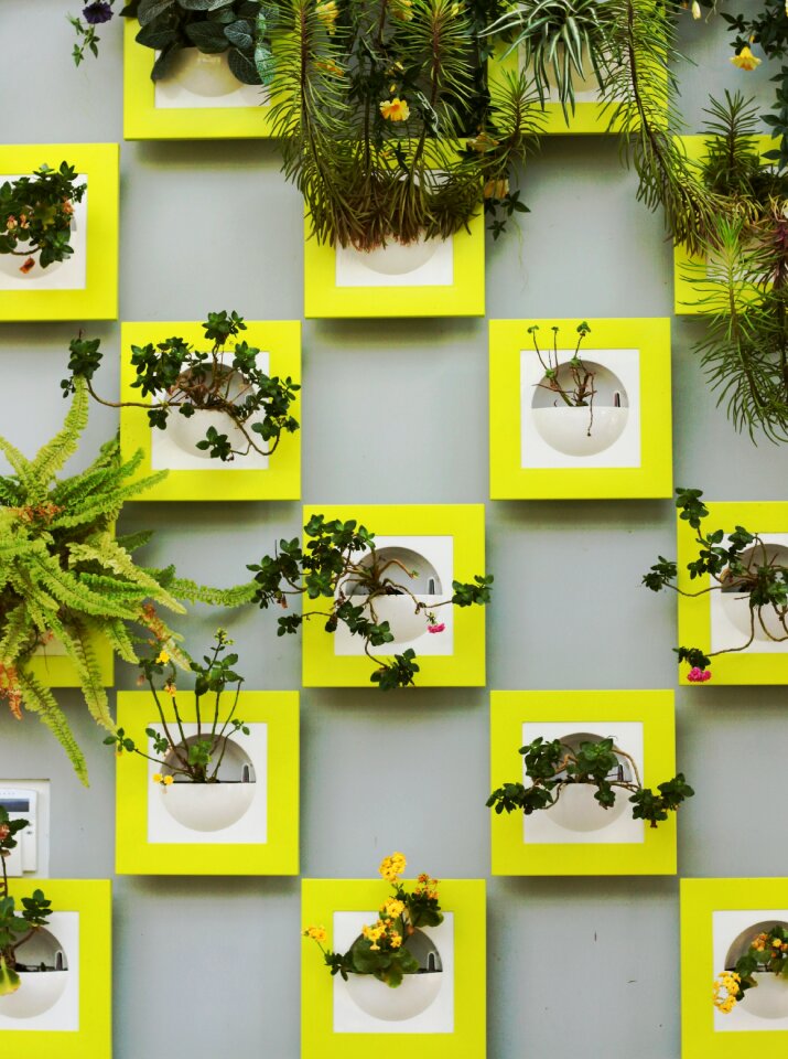 Flower frame wall