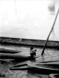 Hamnen vid en chocóhydda (hos medicinmannen Selimo). Darién, Sambú River. Panama - SMVK - 004008