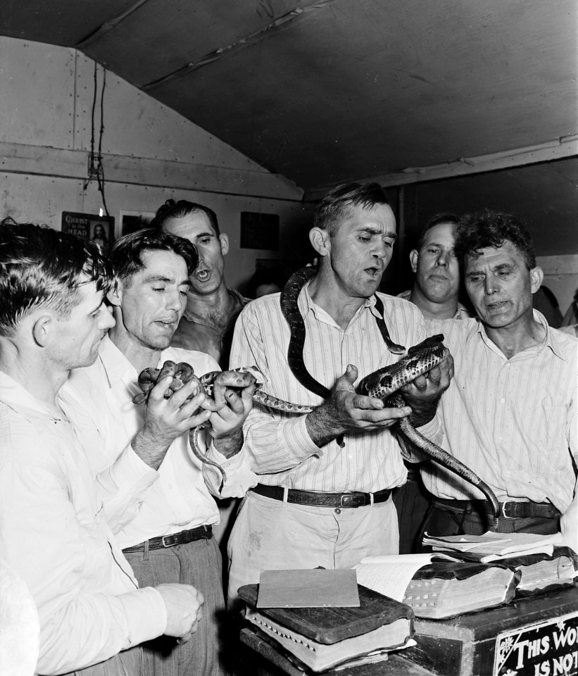 Handling of serpents, a part of the ceremony at the Pentecostal Church of God. This coal camp offers none of the... - NARA - 541340
