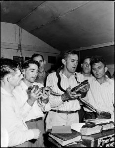 Handling of serpents, a part of the ceremony at the Pentecostal Church of God. This coal camp offers none of the... - NARA - 541340