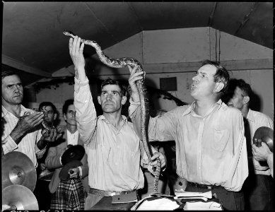 Handling serpents at the Pentecostal Church of God. Company funds have not been used in this church and it is not on... - NARA - 541335 photo