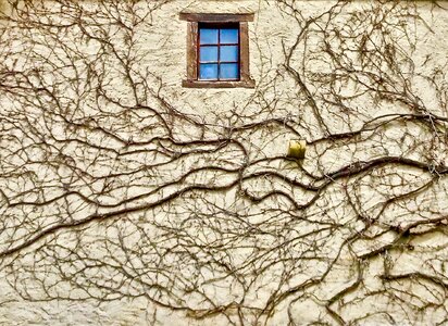 Pattern decoration exterior photo