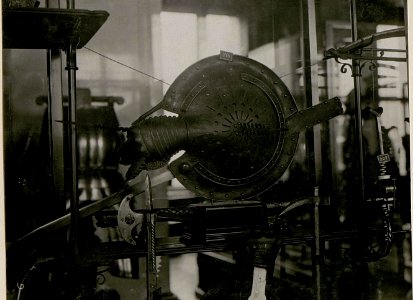 Handschild u.cis.Handschuh in einem Stück. (BildID 15512805)