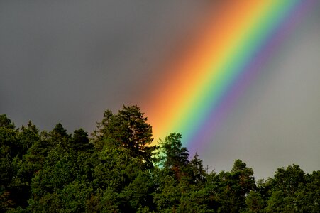 Mood landscape color