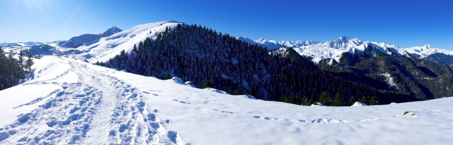 Mountain nistos the high pyrenees