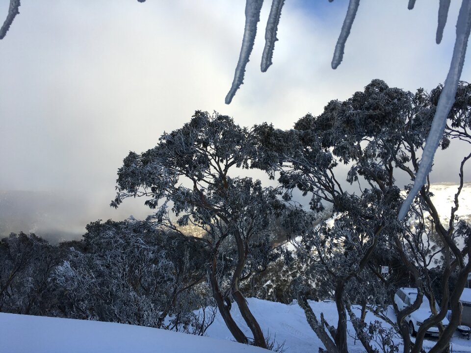 Mountain mount hotham victoria