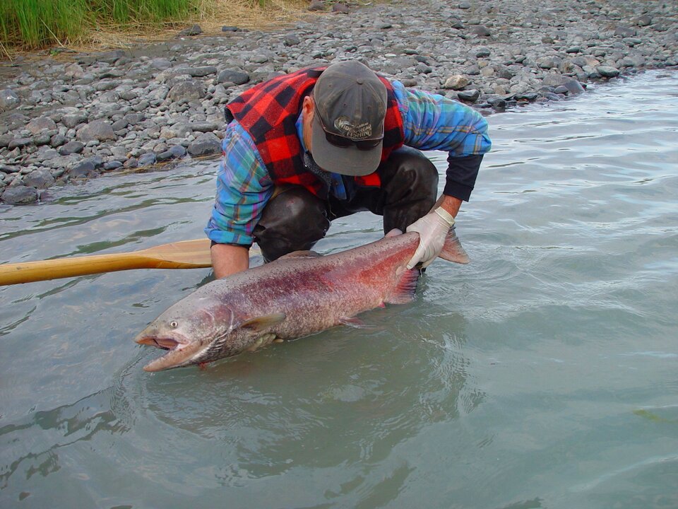 Fishing gray fish gray fishing
