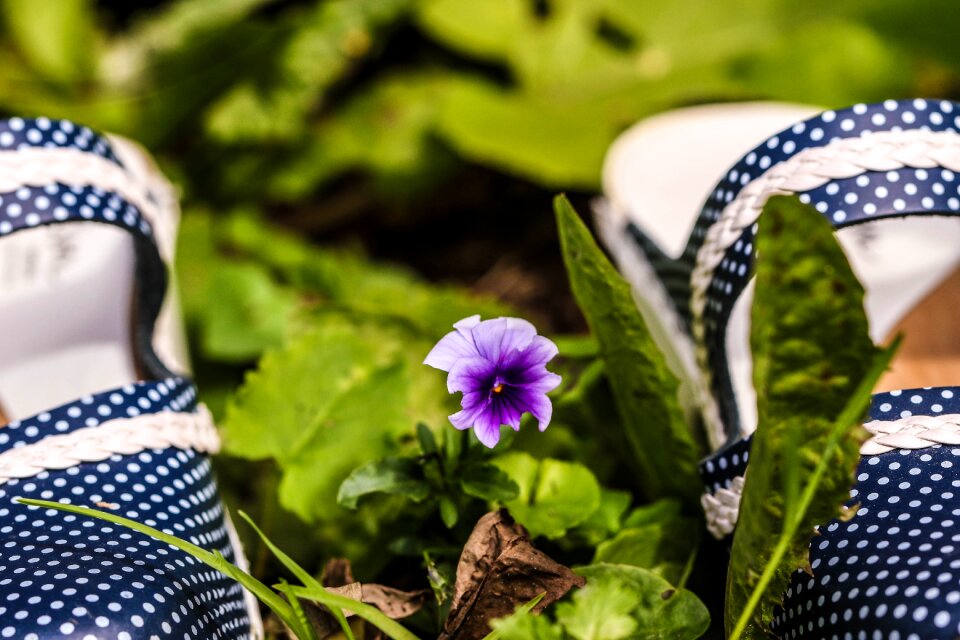 Flower summer flower clogs