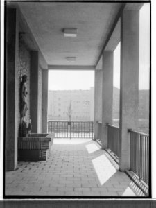 HANSif173 Schule Adlerstrasse