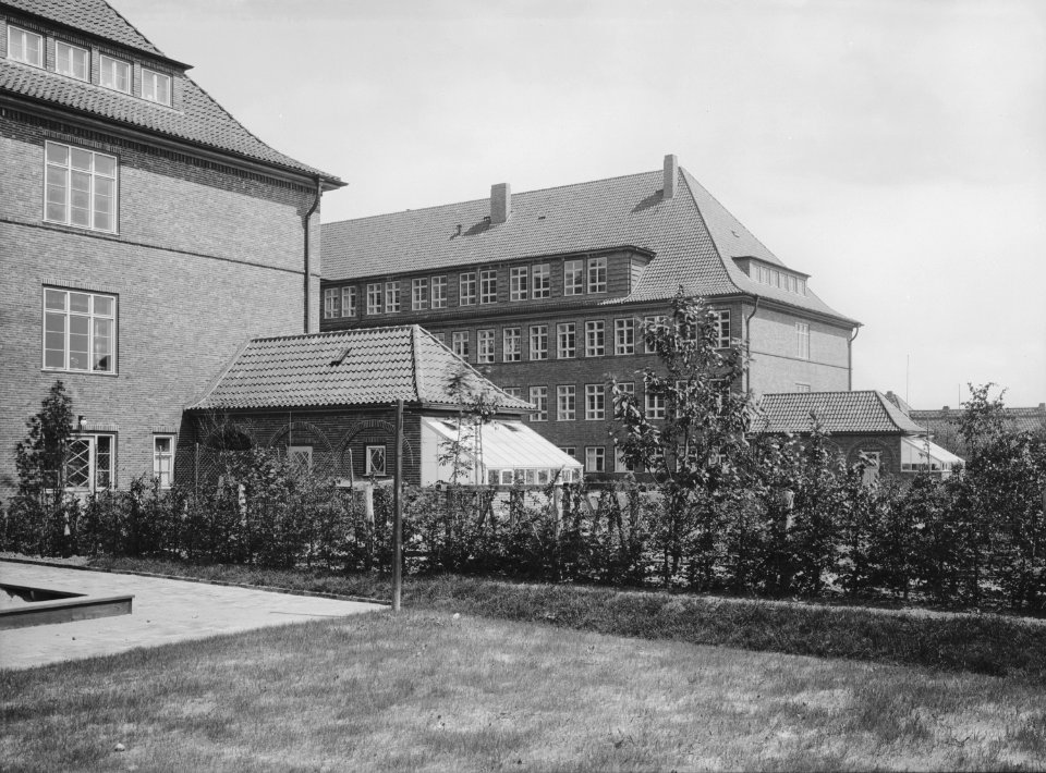 HANSif356 Schule Langenhorn