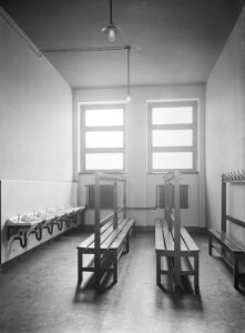 HANSif439 Schule Schaudinnsweg