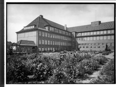 HANSif367 Schule Langenhorn