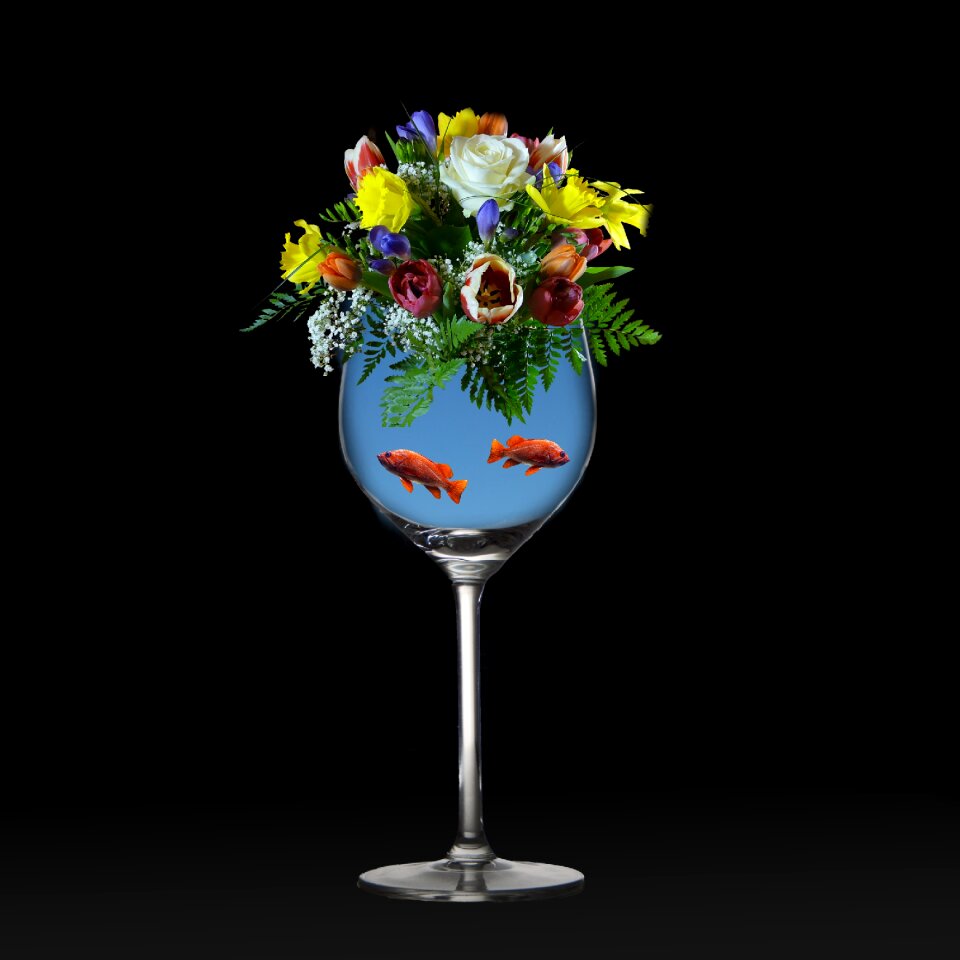 Drink flowers fish