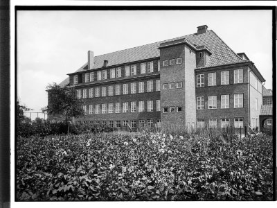 HANSif364 Schule Langenhorn