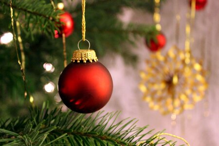 Weihnachtsbaumschmuck fir tree christmas time