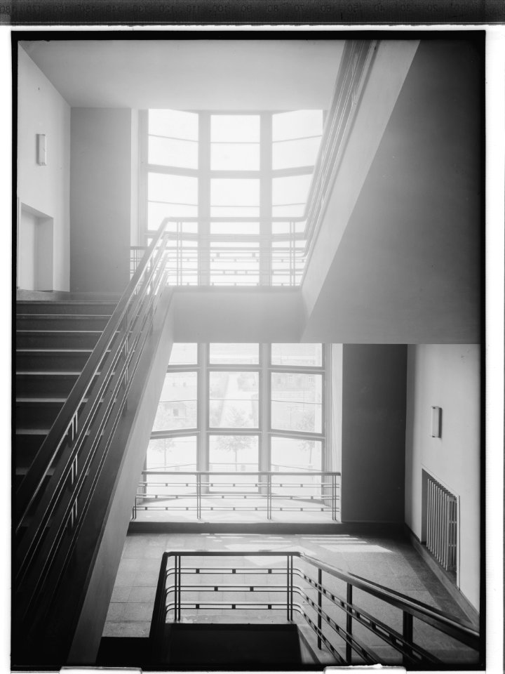 HANSif455 Schule Schaudinnsweg