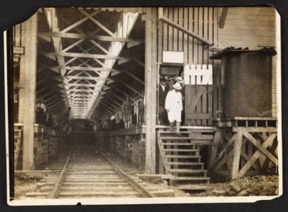 Inspecting Colon works LCCN2013651323