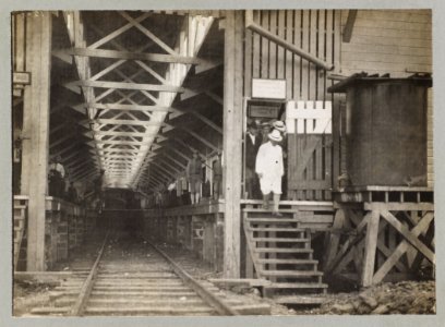 Inspecting Colon works LCCN2013651209