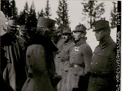 Inspektion des Infanterie-Regiments Nr.14 durch Exzellenz Conrad von Hötzendorf bei Feldpost 403 (BildID 15737636)