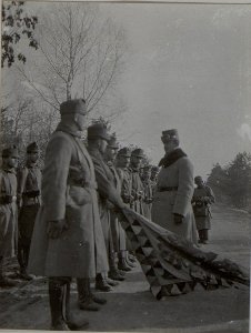 Inspizierung der 37.Honvedinfanteriedivision durch Erzherzog Karl, Februar 1916 (BildID 15456171)