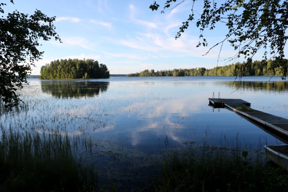 Lake nature tree