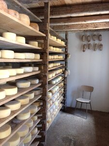 Cheese italy seasoning