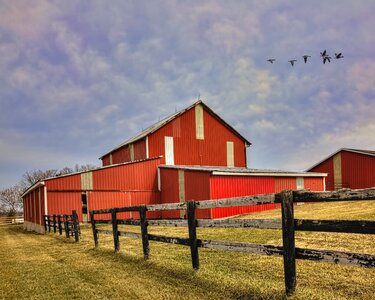 Ohio digital art rural