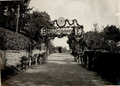 Inspizierung bei k.u.k. Inftr. Regt.88. d. GO. Böhm-Ermolli. (BildID 15532192)
