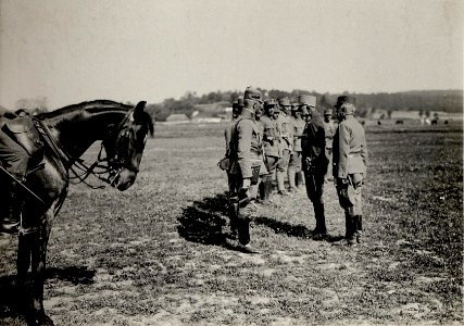 Inspizierung d.S.Exz.G.d.J.Suchovati beim J.R.81 (BildID 15530648)