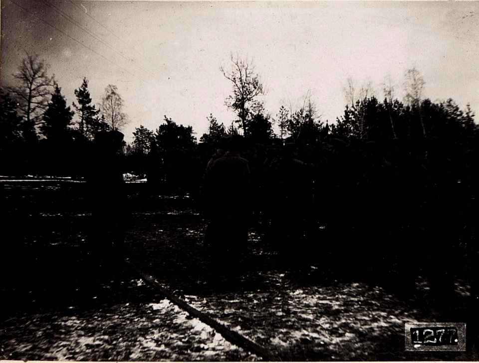 Inspizierung der 2.3.u.4.Eskadron bei reit.Sch.Rgt.2. Stara Dubrowa (9-II.1918.) (BildID 15712058)